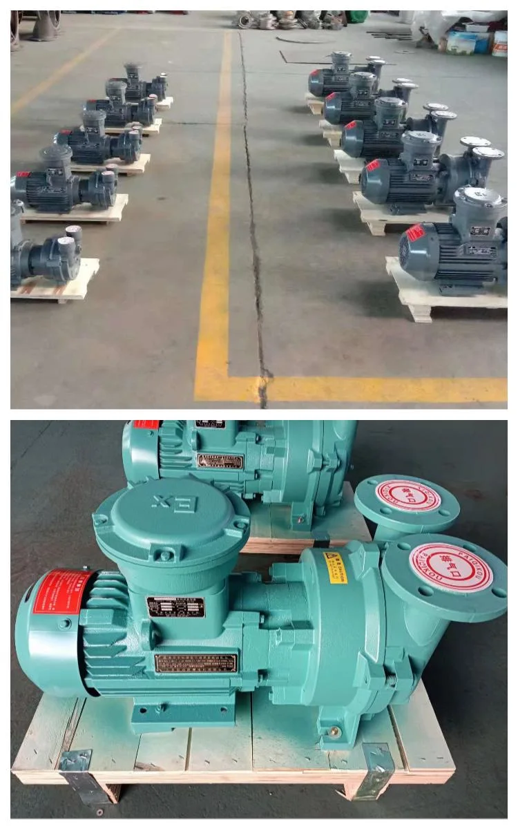 2BV-2bvc Liquid Ring Vacuum Pump with Compressor Motor Vacuum Filtration Pump in China